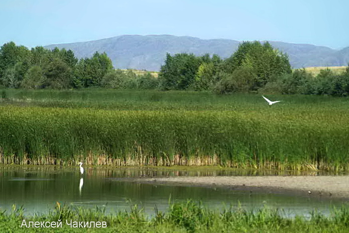 Начало лета ознаменуется дождем